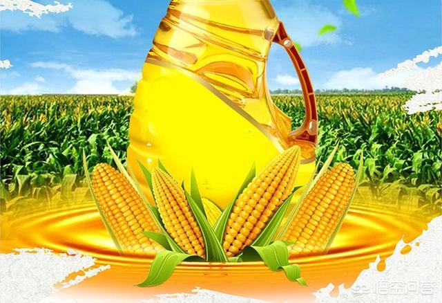 盘点一下玉米油的那些事，玉米油是什么油有些玉米油的价格为何比较便宜