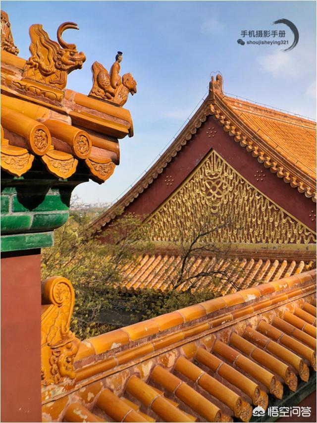 郑媛媛事件原始照片:作为摄影师你在分享图片的时候会打上自己的水印吗