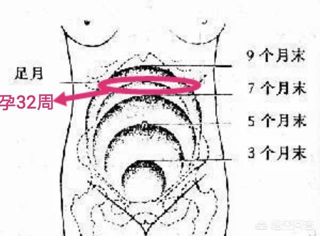 孕妇食欲不振怎么办:怀孕32周了，很饿但是吃不下是怎么回事？