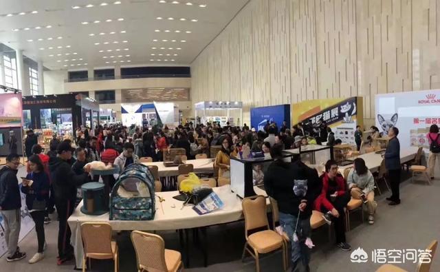 上海宠物展团购:哪里可以查到2018年宠物用品展会的信息？ 2021上海宠物展