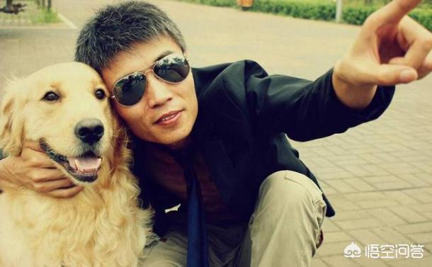 2020金毛犬吧:金毛犬蠢不蠢？有哪些表现说明它很蠢？