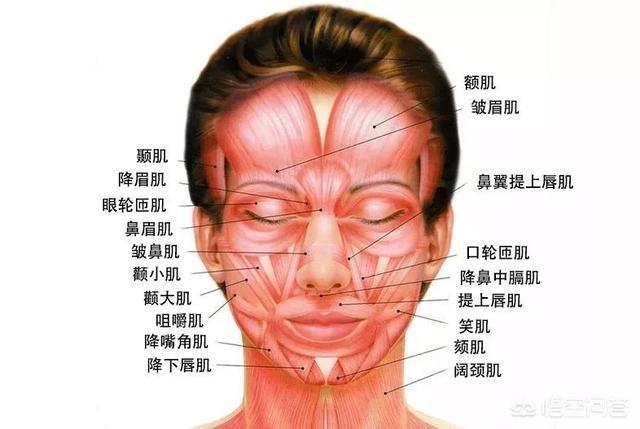 费启鸣章若楠:90后女演员章若楠为什么会被王思聪关注