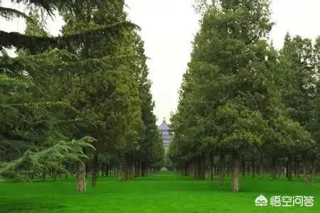 柳河东:《岭南江行》尾联有什么含义，表达了诗人什么思想情感？