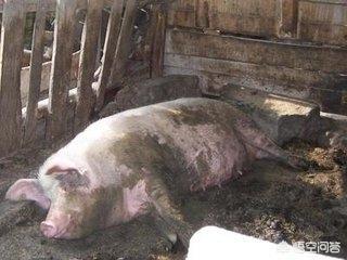 房子底下是空的风水,北方老房子藏宝，一般藏在什么地方？