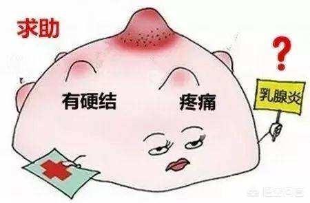 头条问答 母乳喂养的妈妈很容易得乳腺炎 有哪些改善方法 46个回答