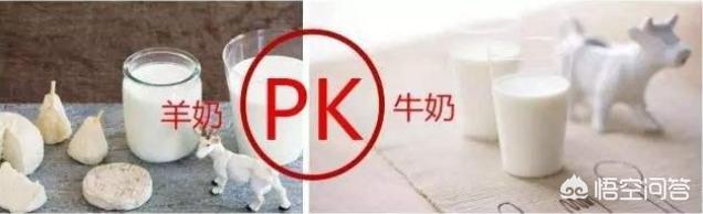 bixiongnaicha:比熊喝的羊奶粉哪个牌子好？