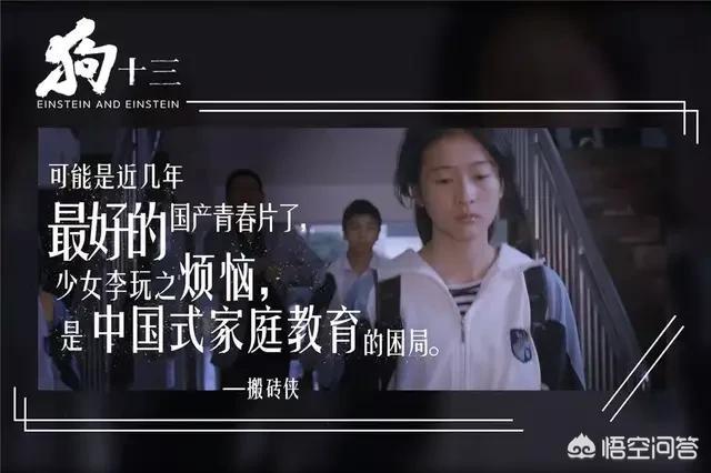 狗万官网正网n:买评论也不可能刷到豆瓣8.5，大咖团赞的《狗十三》魔力在哪？