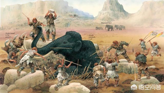 智人是怎么打败尼安德特人(大脑比较小的智人是如何打败大脑比较大的