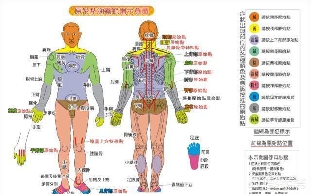 壮阳穴位按摩，人体有哪些重要的穴位常揉会有什么好处