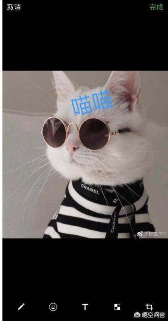 怎样在发给朋友的照片下标出照片中的人名
