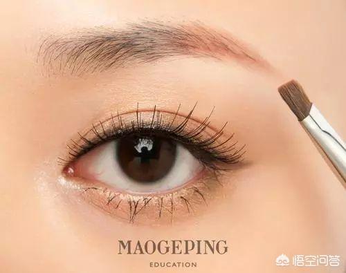 怎样学会眉毛的入门画法呢？插图54