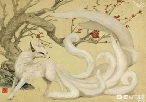 小猫一尾作品集下载:《火影忍者》九大尾兽的神话来源是怎样的？