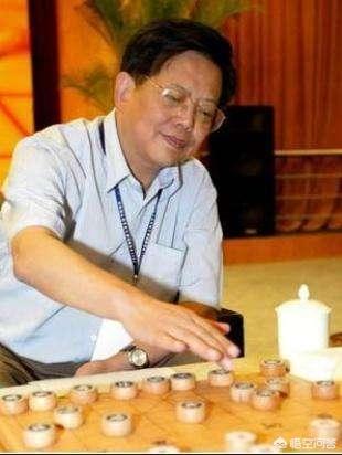 王琳娜图片:老一辈象棋特级大师中谁培养徒弟的能力最强呢