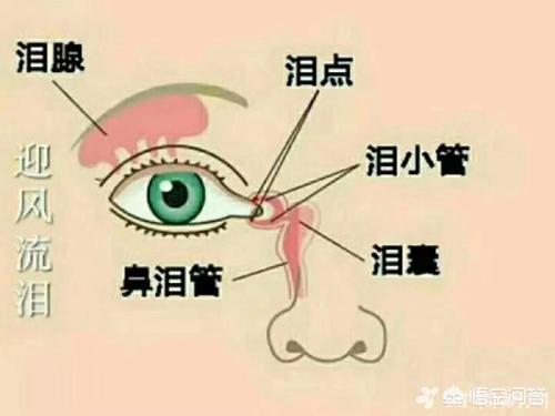 儿童泪腺炎的症状:前列腺炎的症状 鼻泪管堵塞后，会有哪些临床症状？