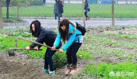 网上算命怎样推广,网上种地怎么向客户推广？