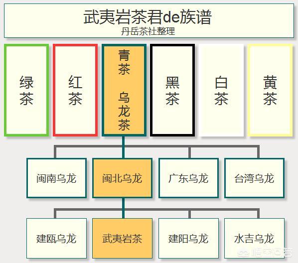 武夷岩茶是什么？