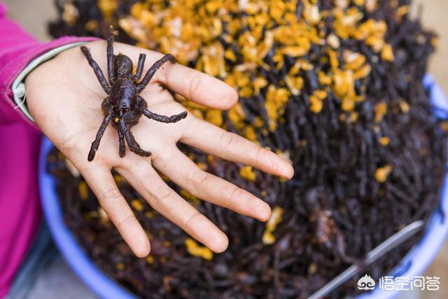 油炸毒蜘蛛没有毒吗:蜘蛛能吃吗？有什么做法？