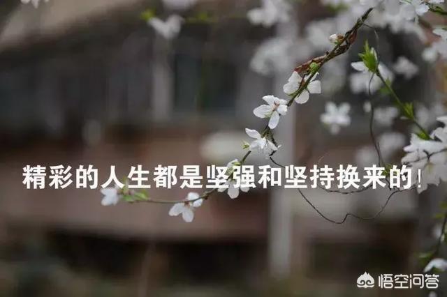 适合发<a href=https://maguai.com/list/256-0-0.html target=_blank class=infotextkey>朋友圈</a>的句子励志短句:有哪些让人眼前一亮的励志句子？(让人眼前一亮的励志句子)