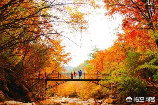 什么行业才是未来大趋势？为什么？插图43