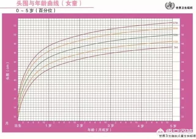 哈士奇模仿婴儿爬行:智商高的宝宝有什么特征？