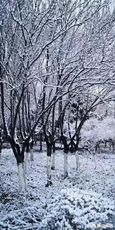 北京什么时候下雪;你们所在的地方，冬天什么时候下雪？