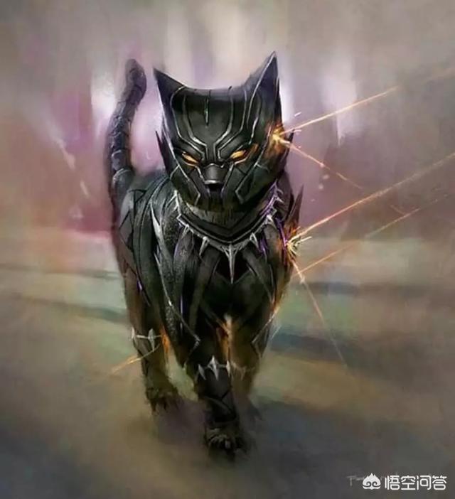 色猫咪导航:假如蜘蛛侠、黑豹、钢铁侠等等变成猫咪，那会是什么样子？