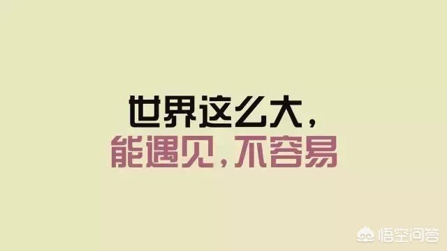 也许适合你的句子:有哪些适合在<a href=https://maguai.com/list/256-0-0.html target=_blank class=infotextkey>朋友圈</a>发布的感悟人生的哲理句子？