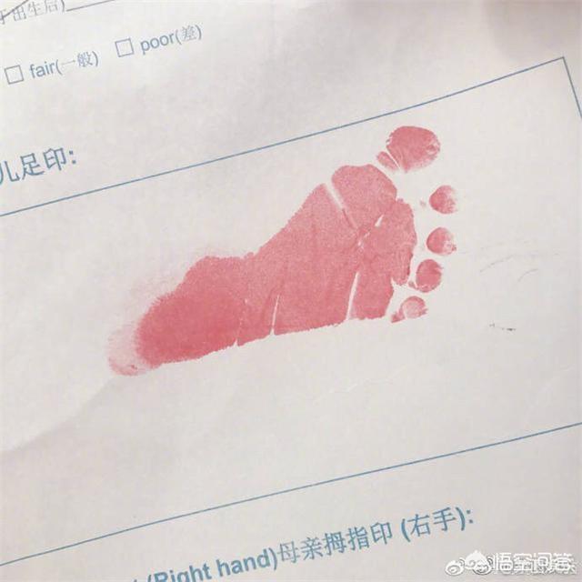蒋勤勤二胎产子:蒋勤勤为儿子哺乳并安利初乳，初乳的营养真得那么高吗？