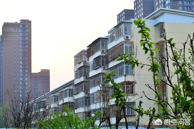 选择中户106平还是东户110平的？插图33