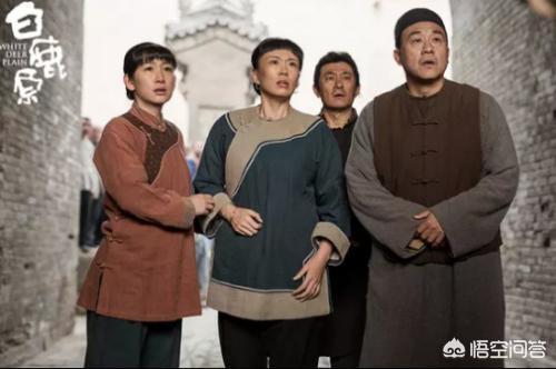 白鹿原停播:电视剧《白鹿原》为什么收视率不高呢？