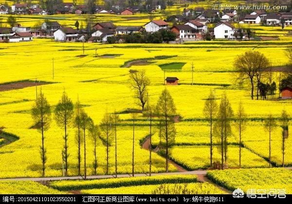 bixiong111的个人主页:陕西、陕北、陕南、关中，哪个地方最好？