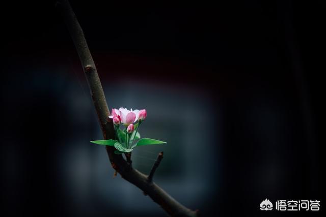 赵惟依暗黑照:怎么利用生活中的环境，拍出暗黑背景