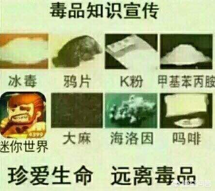 仿笨狗漫画网源码:迷你世界能不能和我的世界合作？