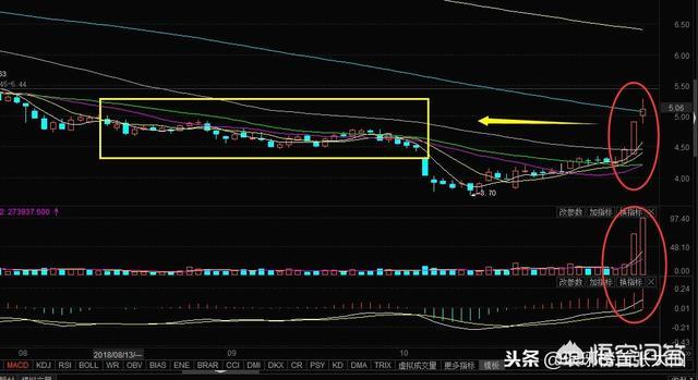 黑马牛股<a href=https://maguai.com/personal/ target=_blank class=infotextkey><a href=https://maguai.com/group/ target=_blank class=infotextkey>微信群</a></a>:为什么现在有很多开股票直播间的呢，他们靠什么盈利呢？