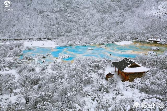 四川发现一条幼龙图片，黄龙风景名胜区有哪些值得游玩的景点