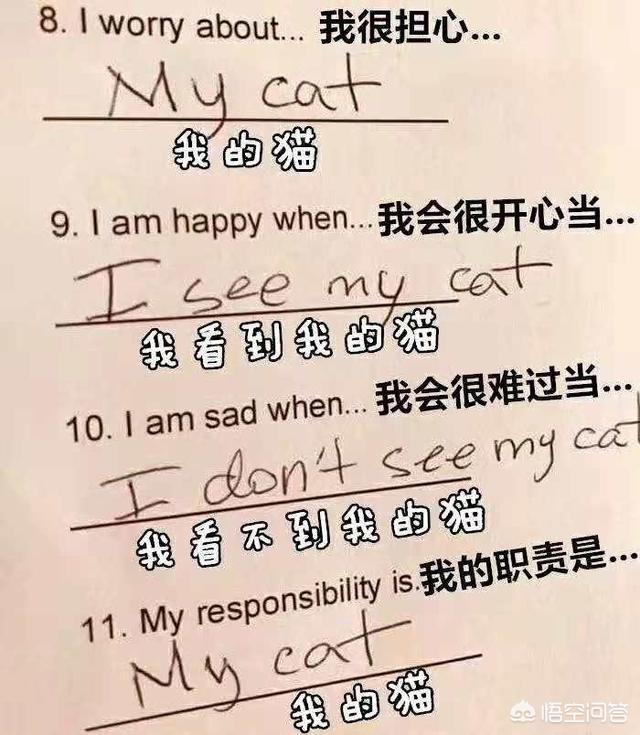猫奴契约书 在线:外国历史上有哪些著名的猫奴？