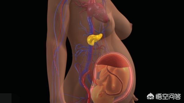 孕晚期是胎儿猛涨期吗？具体是哪几个周？插图28