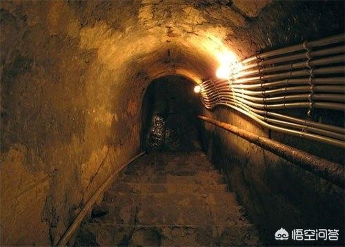 母亲的战争电视剧:电视剧《平凡的世界》，里面为什么没有孙少安的母亲