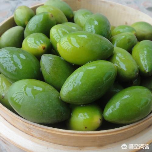 齐秦姐姐:《歌手2019》中哪位歌手的舞台表现让你印象深刻