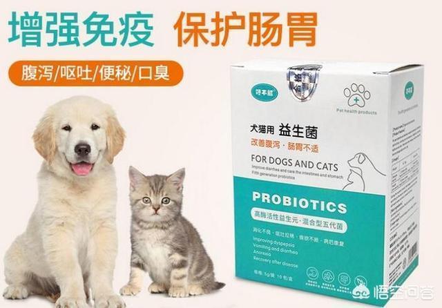 兔子拉稀了吃妈咪爱:猫咪拉稀，可以吃妈咪爱吗？
