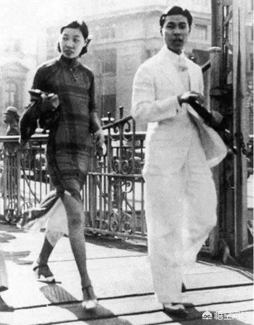 中国狸花猫在国外受欢迎吗:为什么欧洲的奢侈品会那么受国人喜欢？