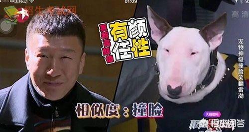 刘宪华女友:你有没有因为某个综艺而对某位明星产生好感
