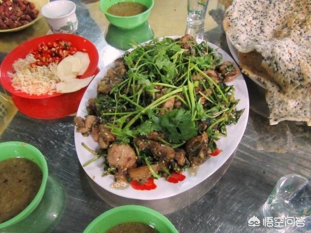 猫在哪个国家内受到严格保护:为什么猫，狗属于狂犬病高风险动物可以允许养？