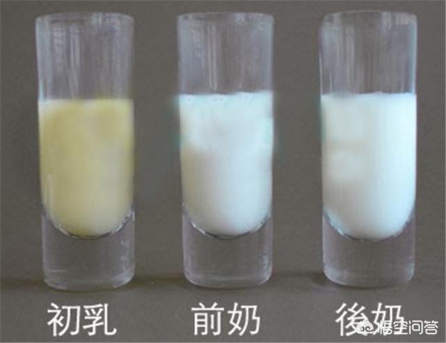 蒋勤勤二胎产子:蒋勤勤为儿子哺乳并安利初乳，初乳的营养真得那么高吗？