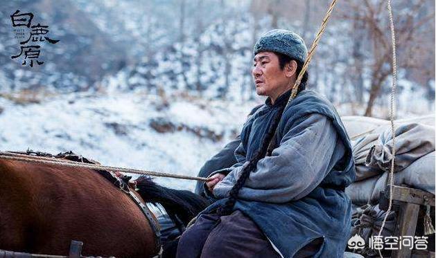 白鹿原停播:电视剧《白鹿原》为什么收视率不高呢？