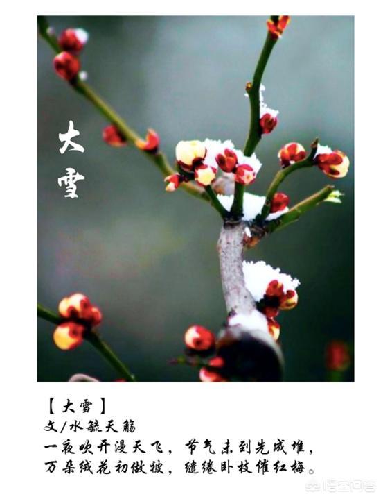 <a href=https://maguai.com/list/256-0-0.html target=_blank class=infotextkey>朋友圈</a>图片编辑:如何给一张图片添加上诗词，并发布到<a href=https://maguai.com/list/256-0-0.html target=_blank class=infotextkey>朋友圈</a>呢？(<a href=https://maguai.com/list/256-0-0.html target=_blank class=infotextkey>朋友圈</a>图片怎样发<a href=https://maguai.com/list/256-0-0.html target=_blank class=infotextkey>朋友圈</a>)