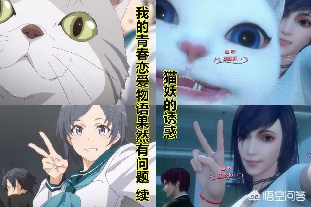 猫的诱惑漫画全集在线观看:《猫妖的诱惑》会成为B站史上最低国漫吗？