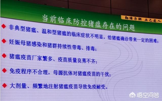 兽用狂犬疫苗种类:肓肥猪打几次伪狂犬疫苗？猪温疫苗打几次？