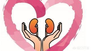 民间90个不传秘方壮阳,有什么好的男性养肾方法吗？