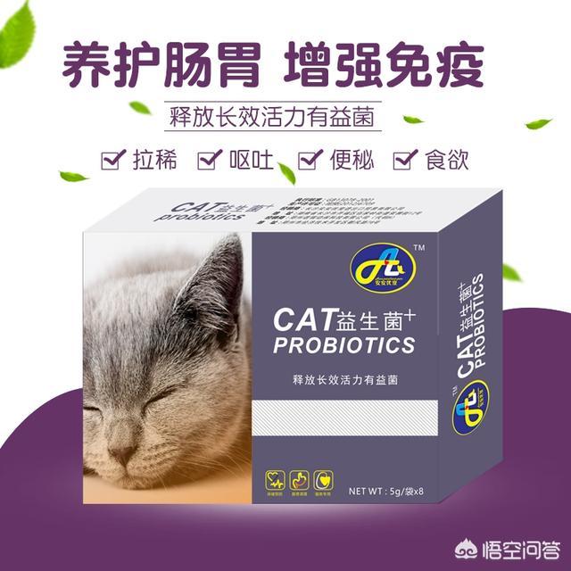 维洛司猫粮:猫咪总是腹胀腹泻，该怎么办？